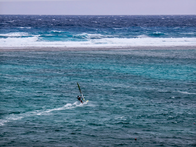 windsurfer